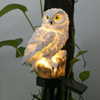 Solar Owl Garden and Lawn Light