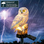 Solar Owl Garden and Lawn Light