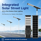 250W Integrated Solar Street Light, 110 LED 7070 SMD Commercial Outdoor Lamp with 48Ah Battery