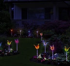 7-Color LED Fiber Optic Butterfly Solar Garden Light
